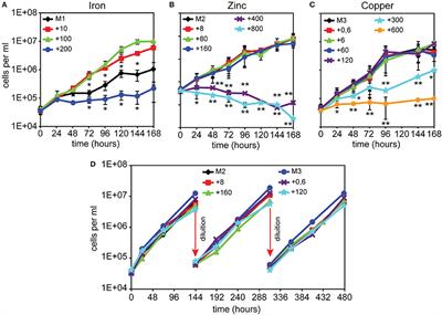 Differential Effects of Iron, Zinc, and Copper on Dictyostelium discoideum Cell Growth and Resistance to Legionella pneumophila